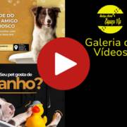 Galeria de Vídeos