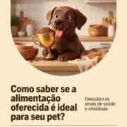 Como saber se a alimentação oferecida é ideal para seu pet?