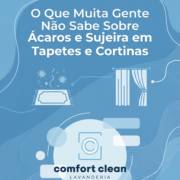 O Que Muita Gente Não Sabe Sobre Ácaros e Sujeira em Tapetes e Cortinas
