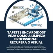 Tapetes Encardidos? Veja Como a Limpeza Profissional Recupera o Visual