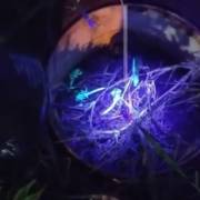 Captura Noturna de Escorpiões - Parte 2
