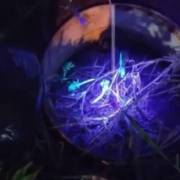 Captura Noturna de Escorpiões - Parte 2