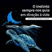 O instinto sempre nos guia em direção à vida