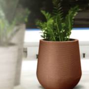 Nutriplan - Cultivando a vida