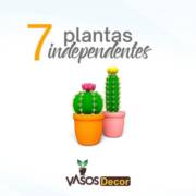 7 plantas independentes.