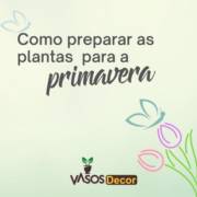 Como preparar as plantas para a primavera