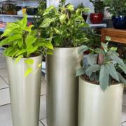 Vasos Decor: A Loja Ideal para Quem Ama Plantas e Decoração em Mineiros