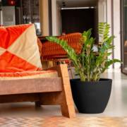 Decoração com plantas: inspirações da Vasos Decor de Mineiros!