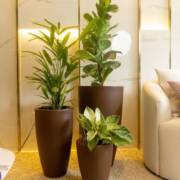 Transforme seu espaço com os vasos e plantas da Vasos Decor em Mineiros!