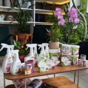Tudo para Cuidar do Seu Jardim com Mais Praticidade