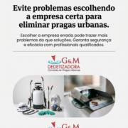 Evite problemas escolhendo a empresa certa para eliminar pragas urbanas