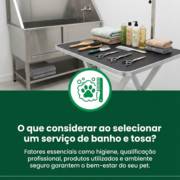 O que considerar ao selecionar um serviço de banho e tosa?