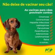 Não deixe de vacinar seu cão!