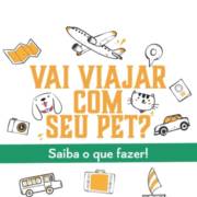 Vai viajar com o seu pet? Saiba o que fazer!