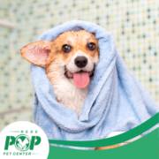 Seu Pet Merece o Melhor: Agora Tem Banho e Tosa na Rede Pop Mineiros!