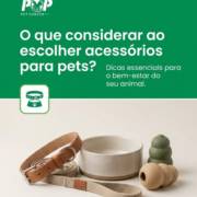O que considerar ao escolher acessórios para pets?