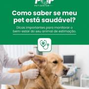 Como saber se meu pet está saudável?