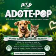 Rede Pop Pet Center Lança o 'Adote Pop': A Nova Plataforma de Adoção Responsável de Cães e Gatos em Mineiros