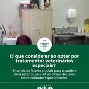 O que considerar ao optar por tratamentos veterinários especiais?