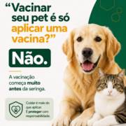 Vacinação: Cuidados ao vacinar seu pet