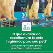 O que avaliar ao escolher um tapete higiênico para seu pet?