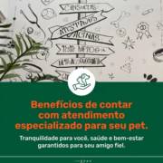 Benefícios de contar com atendimento especializado para seu pet.