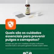 Quais são os cuidados essenciais para prevenir pulgas e carrapatos?