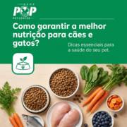 Como garantir a melhor nutrição para cães e gatos?