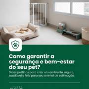 Como garantir a segurança e bem-estar do seu pet?