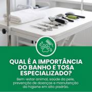 Qual é a importância do banho e tosa especializado?