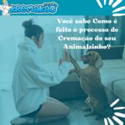 Como é feito o processo de Cremação do seu Animalzinho?