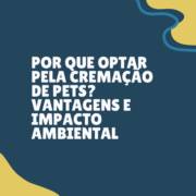 Por que optar pela cremação de pets? Vantagens e impacto ambiental