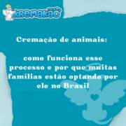 Cremação de animais: como funciona esse processo e por que muitas famílias estão optando por ele no Brasil