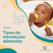 Tipos de introdução alimentar