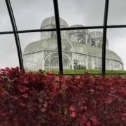 Confira como foi a nossa viagem a Curitiba/Morretes-PR!
