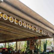 Confira como foi nossa viagem para o Zoológico de SP + Mercadão Municipal + Cacau Show dia 10/07/2022