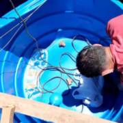 Limpeza de caixa d'agua com qualidade