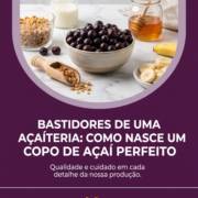 Bastidores De Uma Açaíteria: Como Nasce Um Copo De Açaí Perfeito
