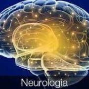 Neurologia