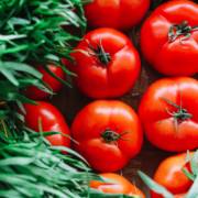 Tomate é fruta ou legume? Descubra a verdade sobre o que é esse alimento!