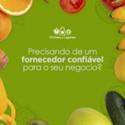 Precisando de um fornecedor confiável para o seu negócio?