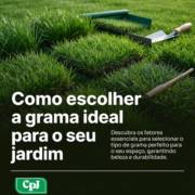 Como escolher a grama ideal para o seu jardim