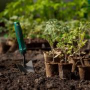 Quais são os tipos de serviços de jardinagem fornecidos ao contratar um jardineiro?