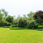 5 motivos para contratar um serviço de Jardinagem Terceirizado
