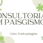 Consultoria em Paisagismo
