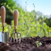 Jardinagem Em Peruíbe: Como Áreas Verdes Transformam O Dia A Dia
