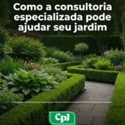 Como a consultoria especializada pode ajudar seu jardim