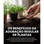 Os benefícios da adubação regular de plantas