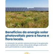 Benefícios da energia solar photovoltaic para a fauna e flora locais