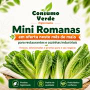 Mini Romanas Frescas em Oferta na Consumo Verde